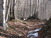05 Compare la neve